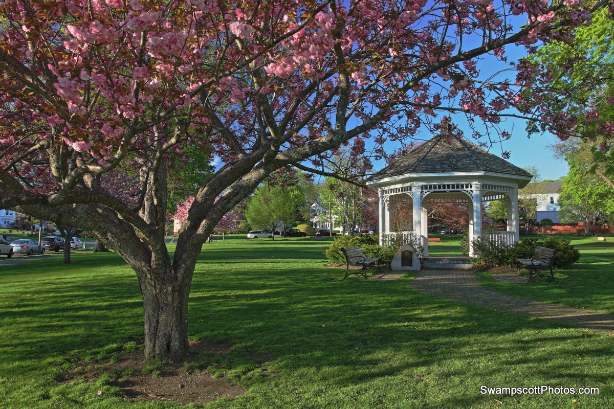 Linscott Park - Pavilion