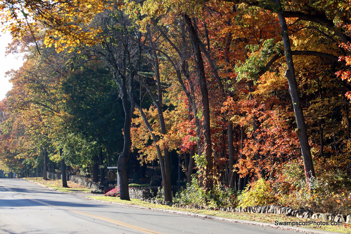 Swampscott Salem Street in the Fall